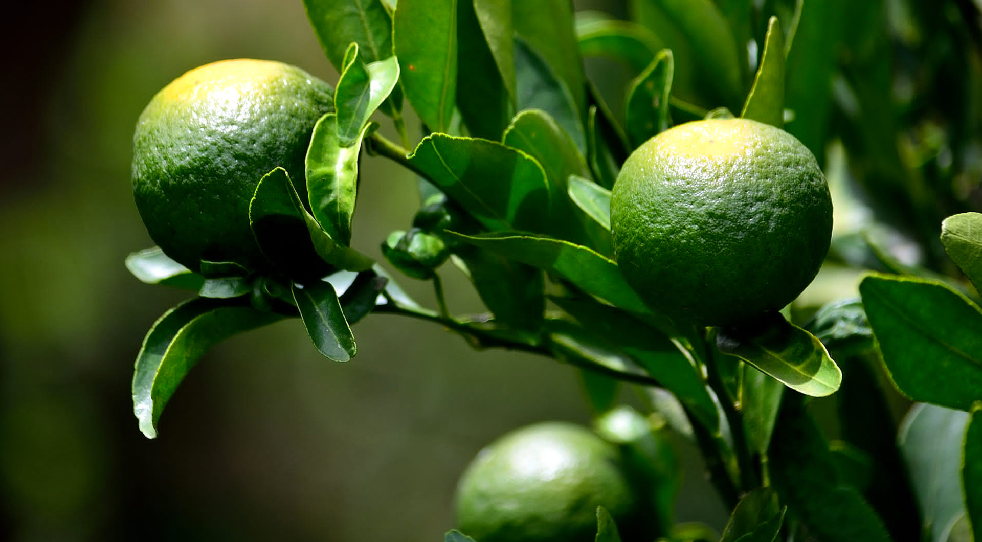 4118云顶集团·(中国)股份有限公司