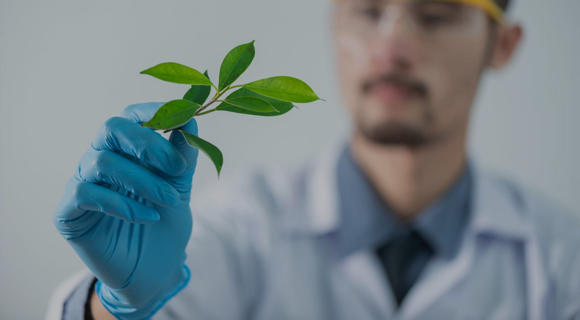 4118云顶集团·(中国)股份有限公司