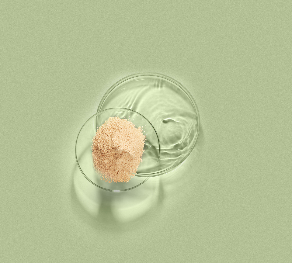 4118云顶集团·(中国)股份有限公司