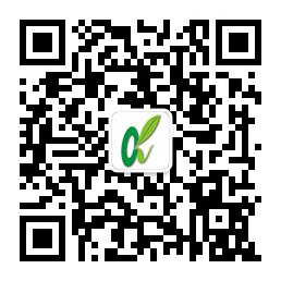 4118云顶集团·(中国)股份有限公司