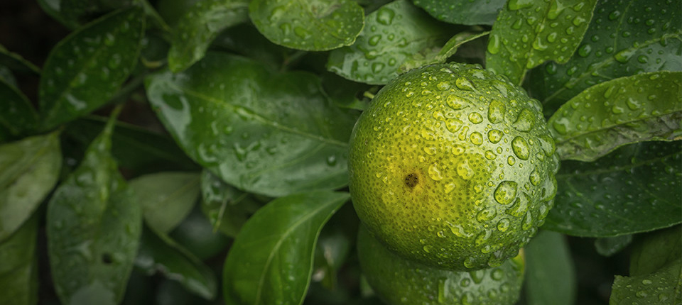 4118云顶集团·(中国)股份有限公司